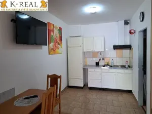 Pronájem bytu 1+kk, Jámy, 30 m2