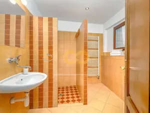 Prodej ubytování, Český Krumlov, Rooseveltova, 391 m2