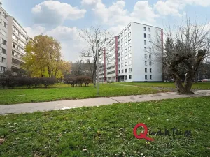 Pronájem bytu 2+kk, Praha - Karlín, U Sluncové, 40 m2