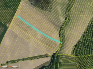 Prodej pole, Skoronice, 10065 m2