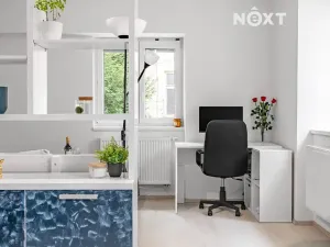 Prodej bytu 1+1, Brno, Francouzská, 47 m2