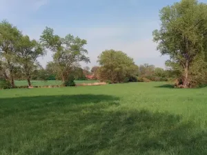 Prodej pole, Kostomlaty nad Labem, 2993 m2