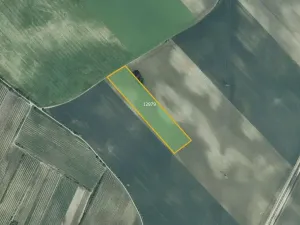 Prodej pole, Mutěnice, 26029 m2