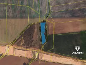 Prodej podílu lesa, Hořesedly, 1425 m2