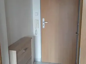 Prodej bytu 1+kk, Brno, Božetěchova, 23 m2