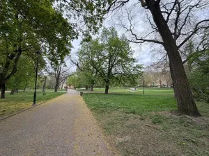 Pronájem bytu 2+kk, Praha - Karlín, Kaizlovy sady, 38 m2