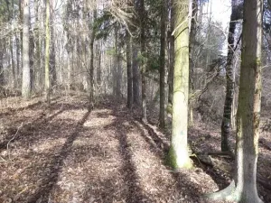 Dražba louky, Novosedly nad Nežárkou, 15643 m2