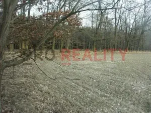 Prodej lesa, Tísek, 4998 m2