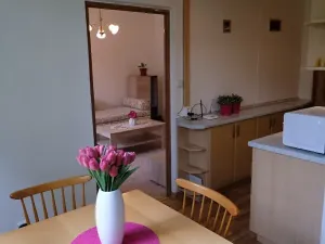 Pronájem bytu 2+1, Uherský Brod, Revoluční, 64 m2