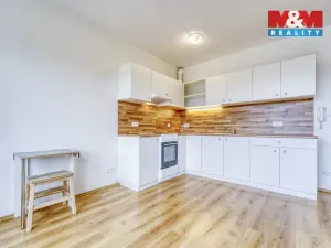 Pronájem bytu 1+kk, Plasy, U Václava, 42 m2
