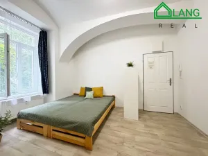 Pronájem bytu 1+kk, Brno, Koliště, 30 m2