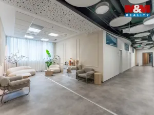 Pronájem komerční nemovitosti, Praha, Jihlavská, 30 m2