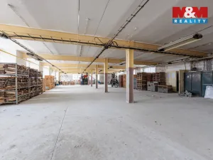Pronájem výrobních prostor, Aš, Kotkova, 416 m2
