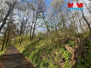 Prodej pole, Písek - Hradiště, 5135 m2