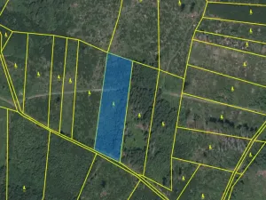 Prodej lesa, Kolinec - Buršice, 5195 m2