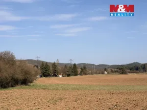 Prodej pole, Drevníky, 4478 m2