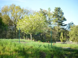 Prodej pozemku pro bydlení, Větrušice, Úzká, 810 m2