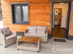 Prodej chaty, Nová Bystřice - Albeř, 259 m2