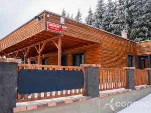 Prodej chaty, Nová Bystřice - Albeř, 259 m2