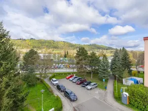 Prodej bytu 2+1, Blansko, Družstevní, 59 m2