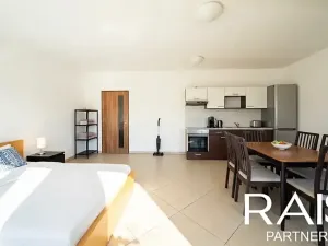 Prodej bytu 1+kk, Brno, Svitavská, 55 m2