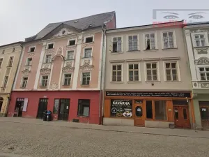Prodej domu, Jihlava, Palackého, 490 m2