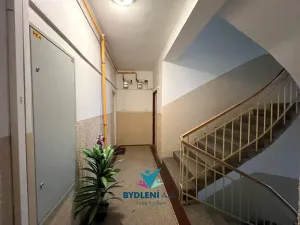 Prodej bytu 1+1, Teplice, 14. října, 42 m2