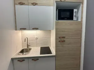 Pronájem bytu 1+kk, Praha - Holešovice, Heřmanova, 26 m2