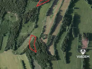 Prodej podílu lesa, Roztoky u Semil, 6000 m2