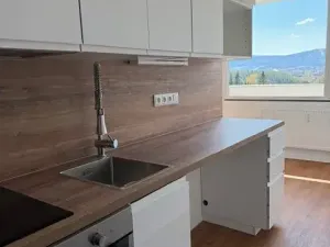 Pronájem bytu 1+kk, Liberec, Březová alej, 22 m2