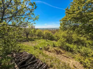 Prodej chaty, Slavkov u Brna, 16 m2