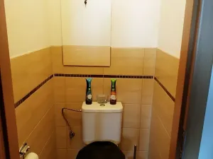 Pronájem bytu 2+1, Ostrava, Bedřicha Nikodema, 51 m2