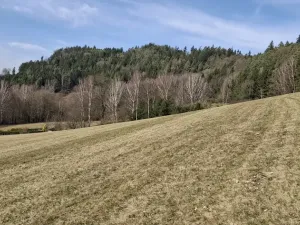 Prodej louky, Ústí nad Orlicí - Kerhartice, 49647 m2