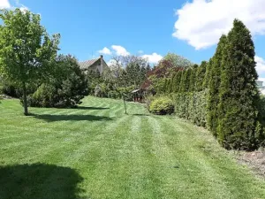 Prodej rodinného domu, Cvrčovice, 168 m2