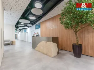 Pronájem obchodního prostoru, Praha, Jihlavská, 30 m2