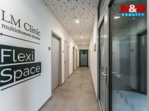 Pronájem komerční nemovitosti, Praha, Jihlavská, 30 m2