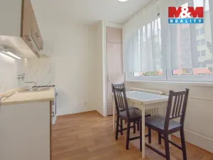 Pronájem bytu 1+kk, Mladá Boleslav - Mladá Boleslav II, Na Radouči, 39 m2
