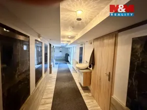 Prodej bytu 1+kk, Lipno nad Vltavou, 20 m2