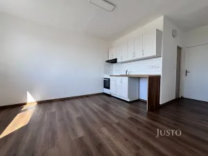 Pronájem bytu 1+1, Ústí nad Labem, Stará, 36 m2