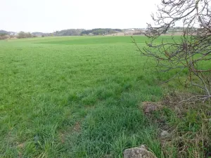 Prodej komerčního pozemku, Stránecká Zhoř - Kochánov, 2295 m2