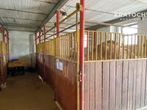 Prodej zemědělského objektu, Úmyslovice, 400 m2