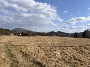 Prodej louky, Cvikov, 35271 m2