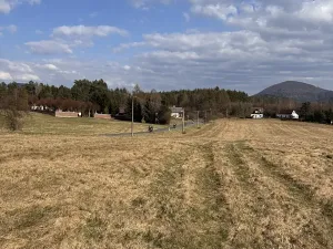 Prodej louky, Cvikov, 35271 m2