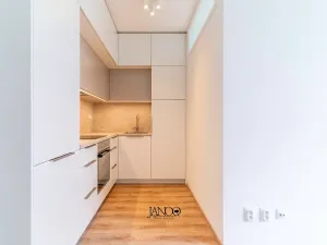 Pronájem bytu 1+1, Brno, Spolková, 38 m2