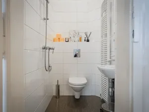 Pronájem bytu 5+1, Praha - Staré Město, Na Perštýně, 197 m2