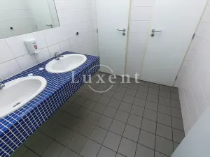 Pronájem kanceláře, Praha - Jinonice, Pekařská, 393 m2