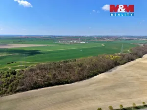 Prodej lesa, Mochov, 4629 m2