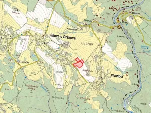 Prodej podílu louky, Jílové u Držkova, 7808 m2