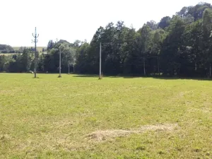 Dražba louky, Teplice nad Metují, 1315 m2