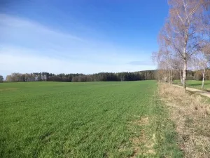 Prodej pole, Okrouhlá Radouň, 17482 m2